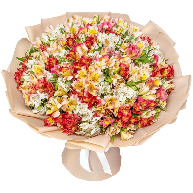 Букет из 101 альстромерии микс